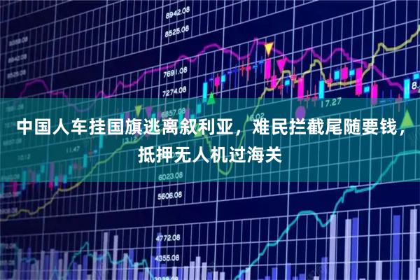 中国人车挂国旗逃离叙利亚，难民拦截尾随要钱，抵押无人机过海关