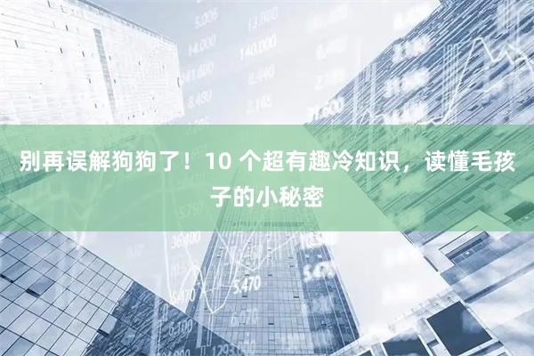 别再误解狗狗了！10 个超有趣冷知识，读懂毛孩子的小秘密