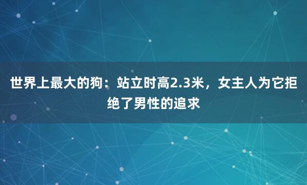 世界上最大的狗：站立时高2.3米，女主人为它拒绝了男性的追求